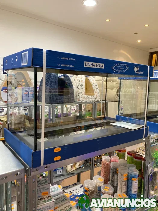 Aquário Grande ( Loja especializada )