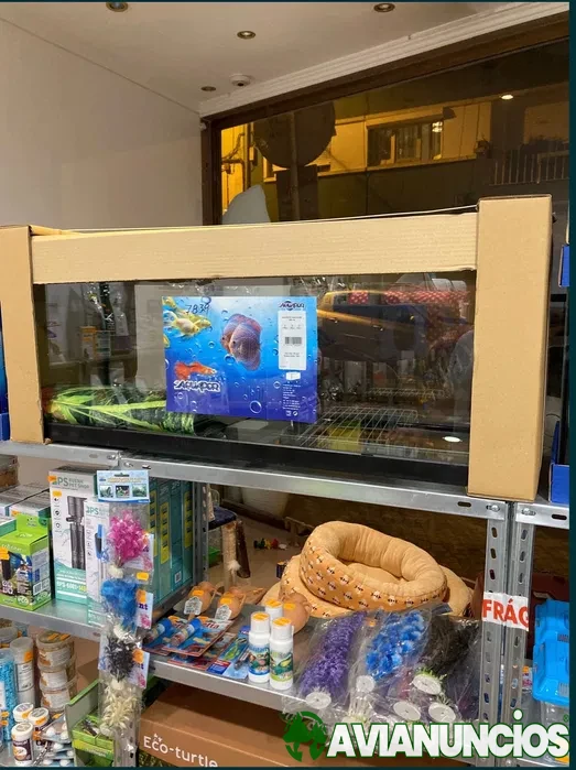 Aquário 1 Metro ( Loja especializada )