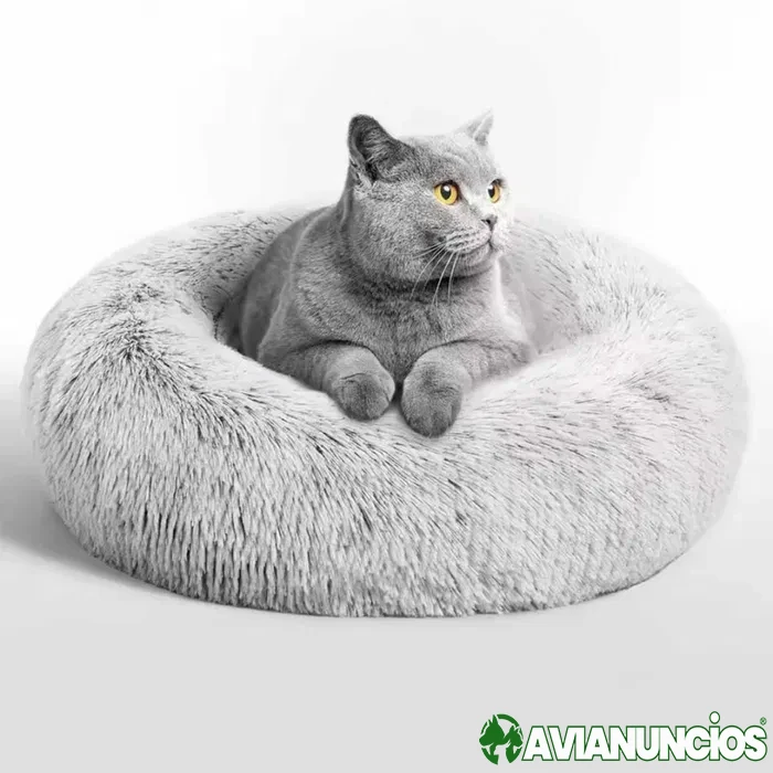 SÓ!! Cama relax para cao